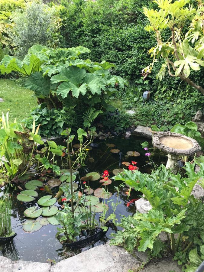 Appartamento Pretty Victorian Garden Flat Radipole Esterno foto